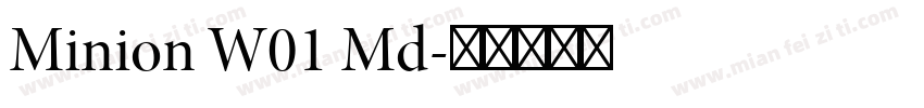Minion W01 Md字体转换